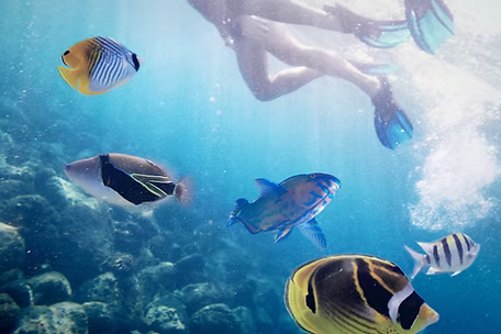 Snorkeling in clear Pacific waters near Troncones